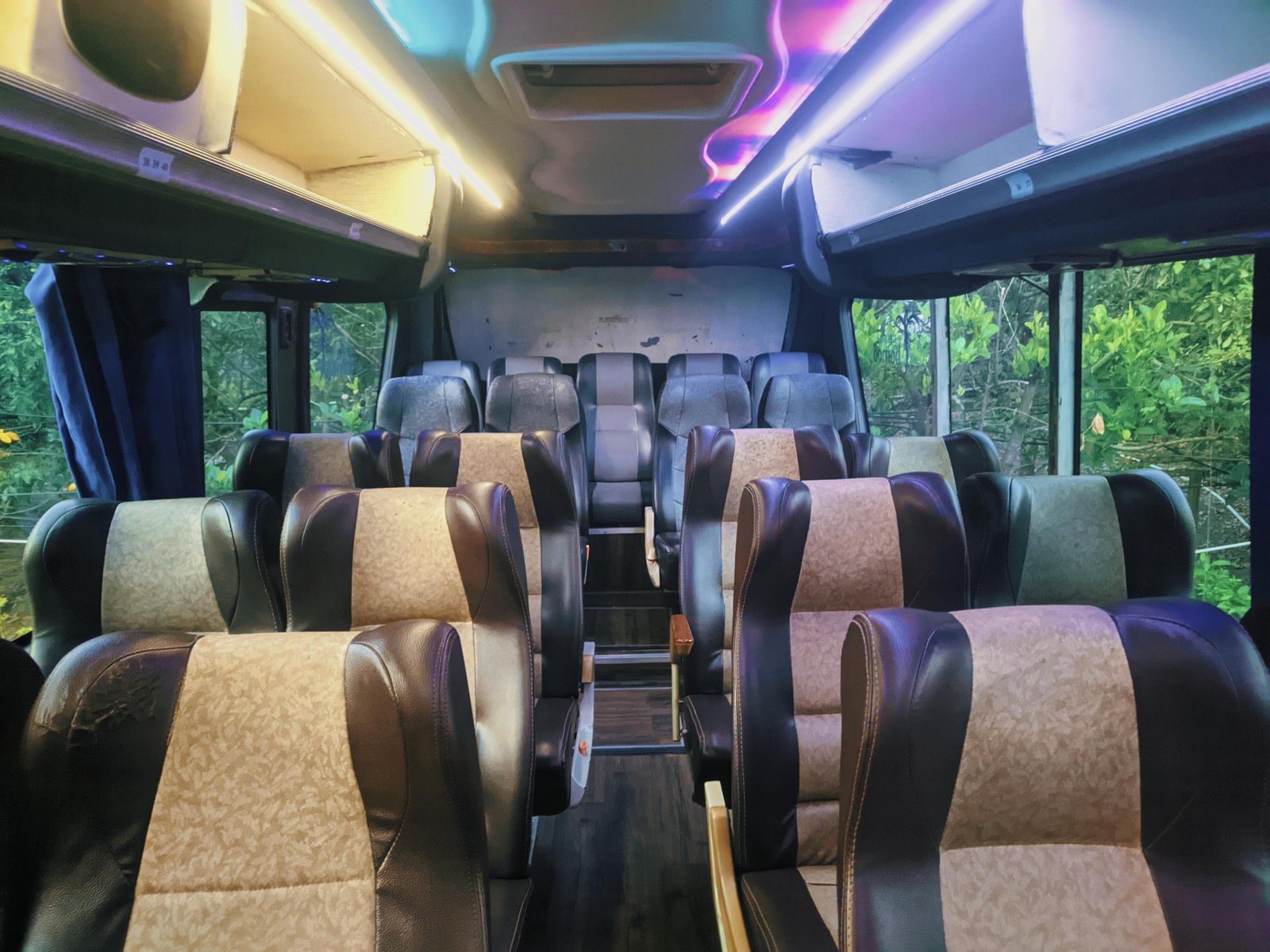Empty bus seats illustrating how to select the perfect school bus rental for your needs
